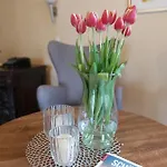 Hotel Pieper-Kersten 3* Bad Laer